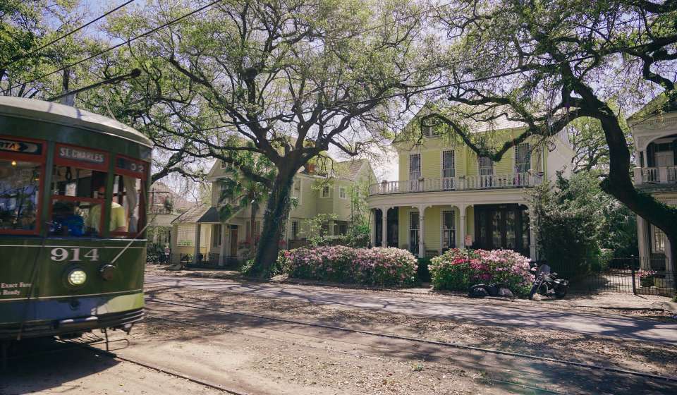 Streetcar - Uptown Spring Color - Azaleas - St. Charles Avenue