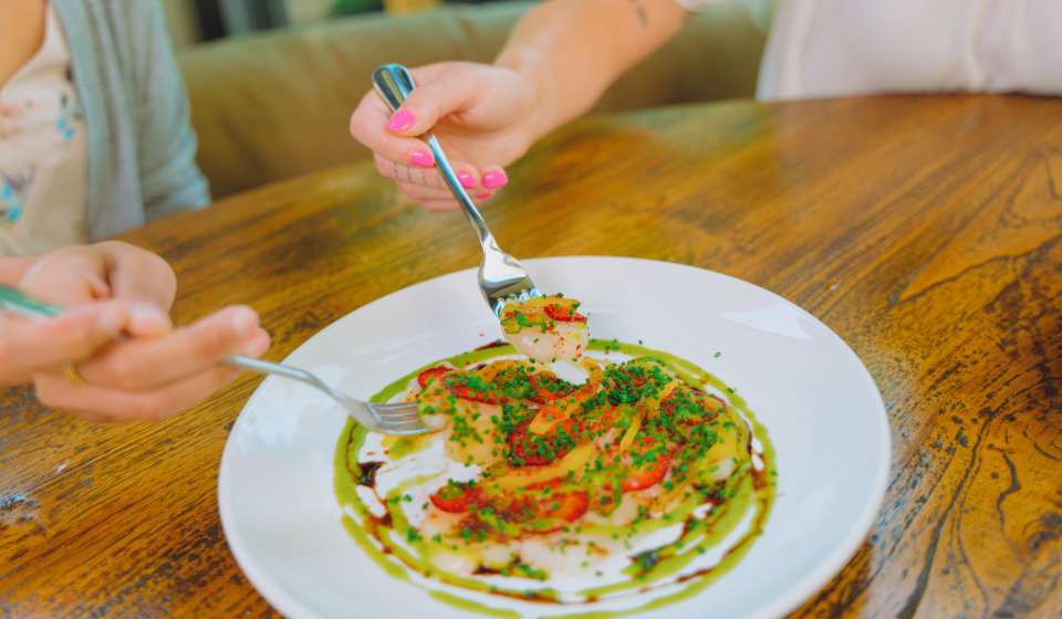 Crudo - The Bower