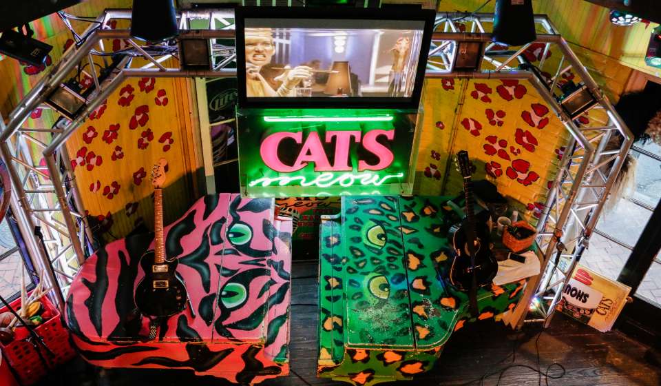 The Cat's Meow