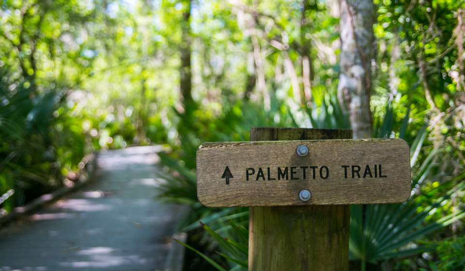 Bayou Sauvage - Palmetto Hiking Trail