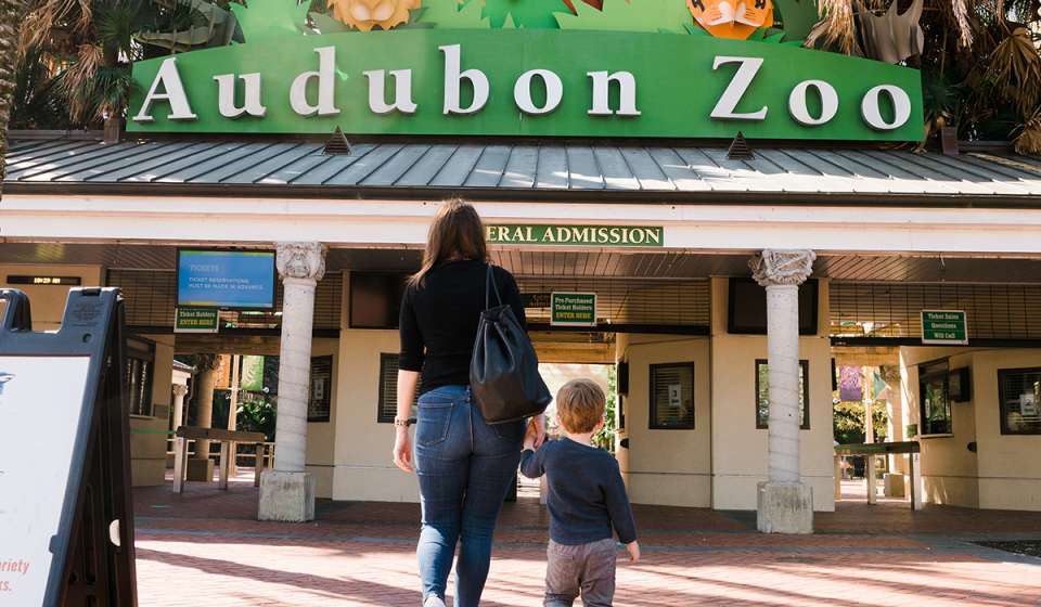 Walking into the Audubon Zoo