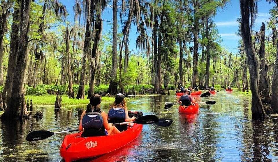 Explore the bayous and byways of southern Louisiana, just outside of New Orleans! If you are searching for a gorgeous, natural and picturesque Kayak Swamp Tour – This Tour is For You! Paddle through dense cypress forest, expansive wetlands, and an array of wildlife on a tour that is ideal for beginners and adventure seekers alike! Kayak tours are fully guided and last between 2 to 2.5 hours. The duration of the full tour will be up to 3 hours, with a 45 min drive from New Orleans.