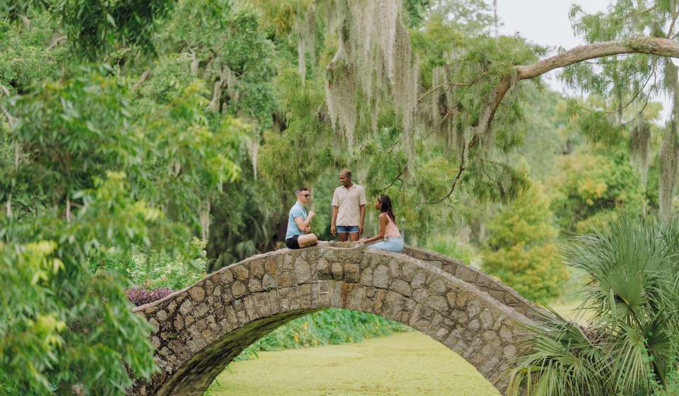 Friends Gather In City Park