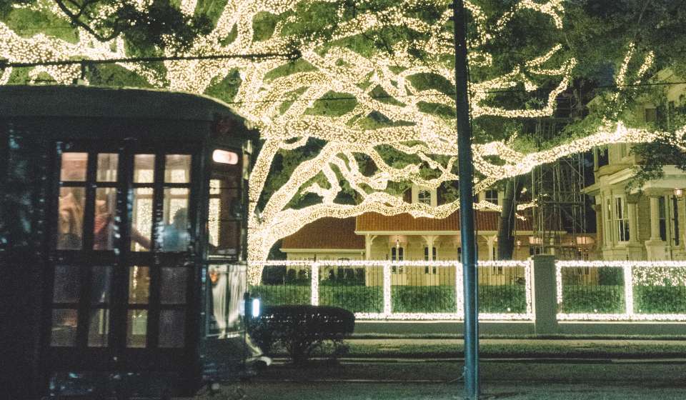 Christmas Lights on St. Charles Avenue