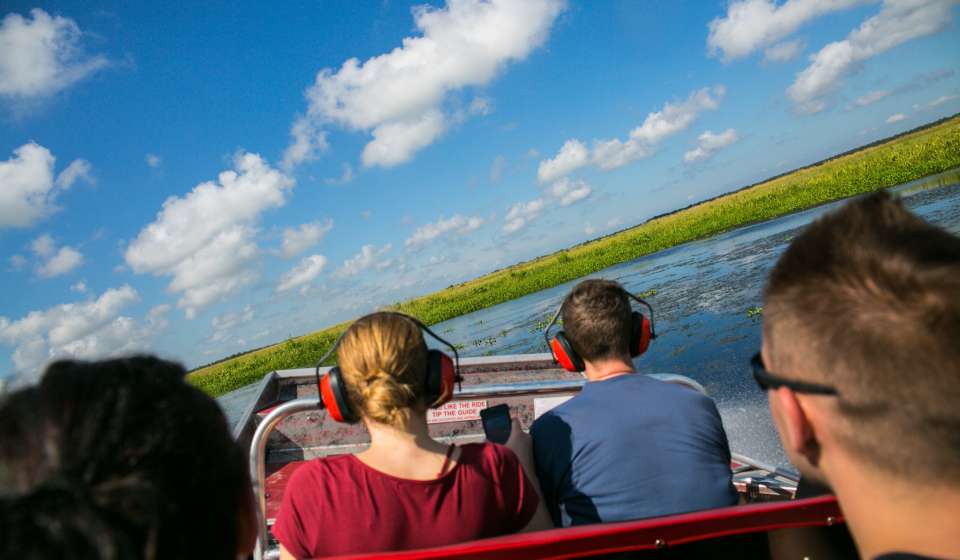 Jean Lafitte Swamp Tour