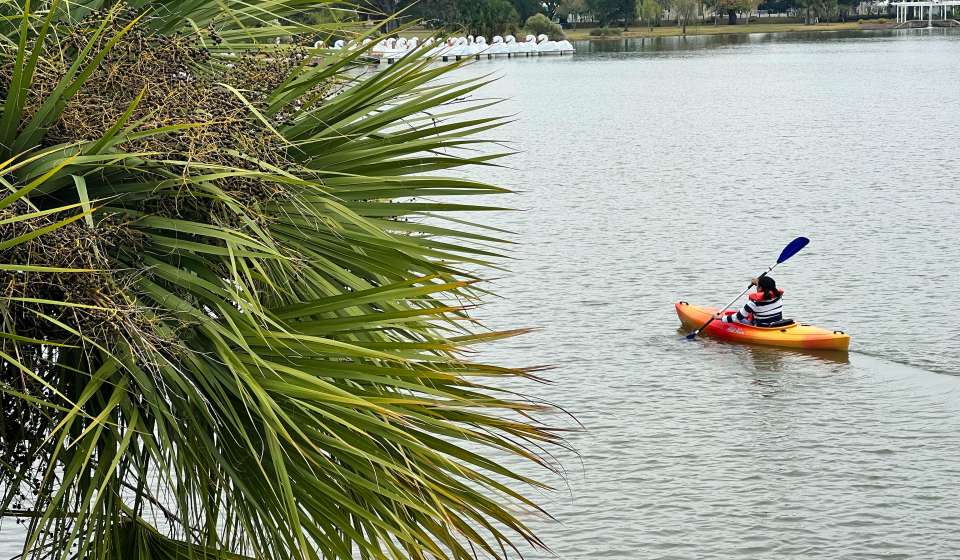 Wheel Fun Rentals - Kayaking in City Park