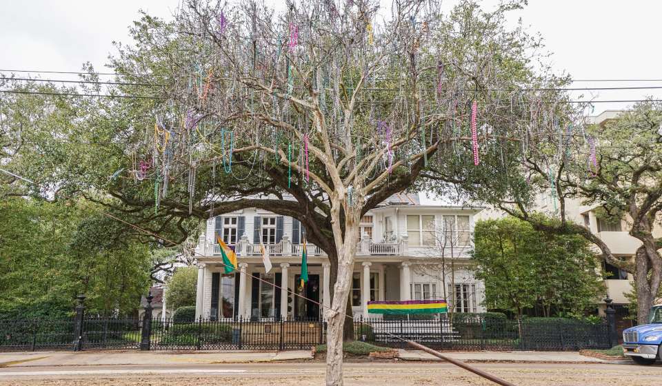 Mardi Gras Bead Tree