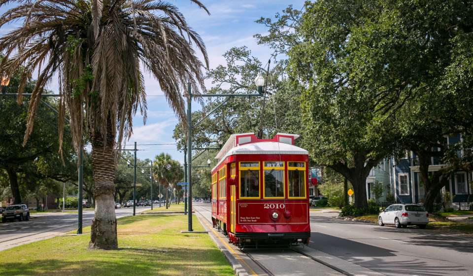 Carrollton Avenue Streetcar - Mid-City