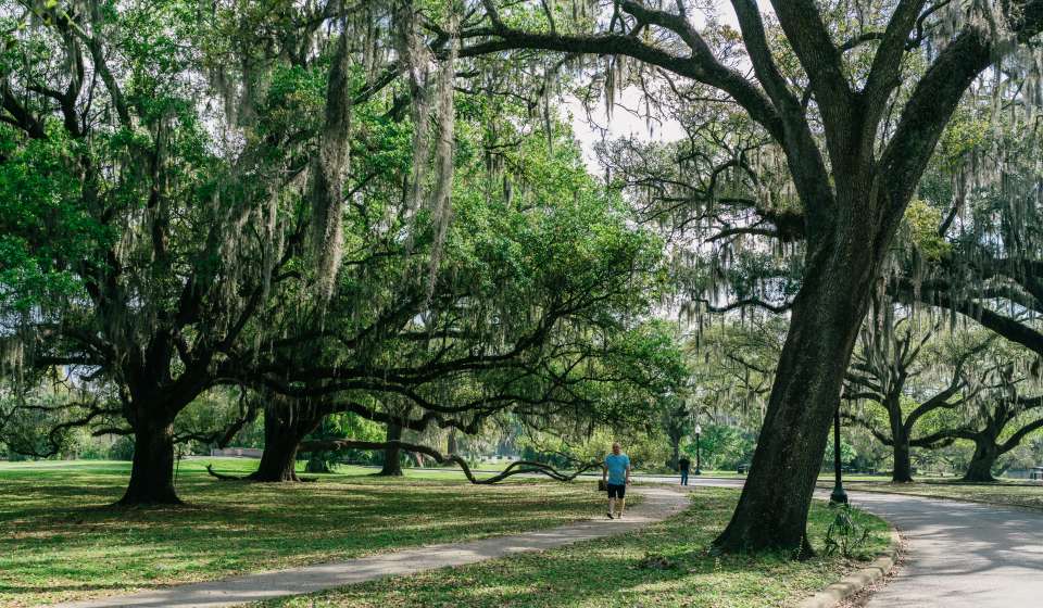 New Orleans City Park