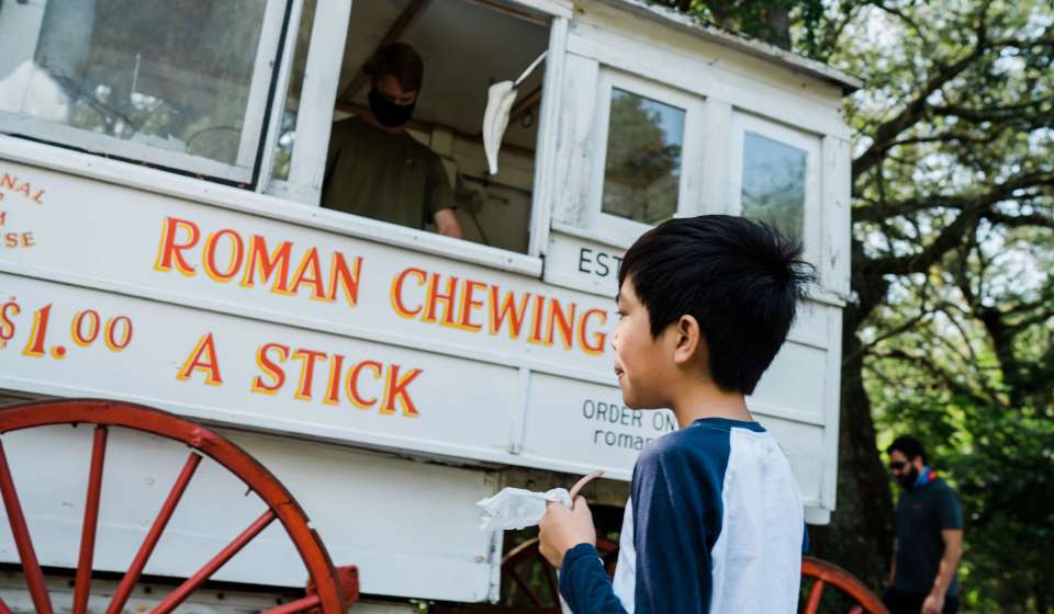 Roman Candy at the Audubon Zoo