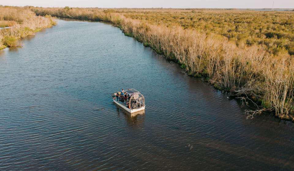 Airboat Swamp Tour