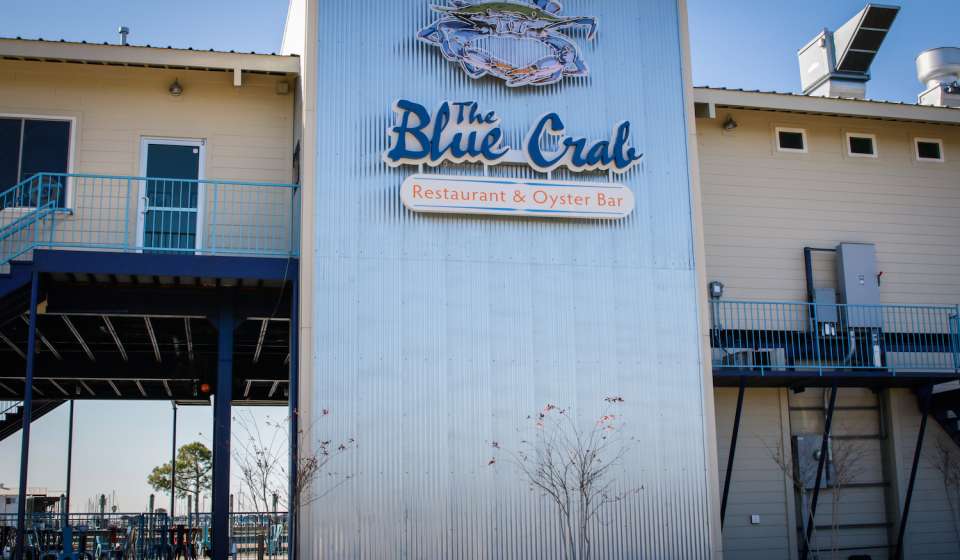 The Blue Crab