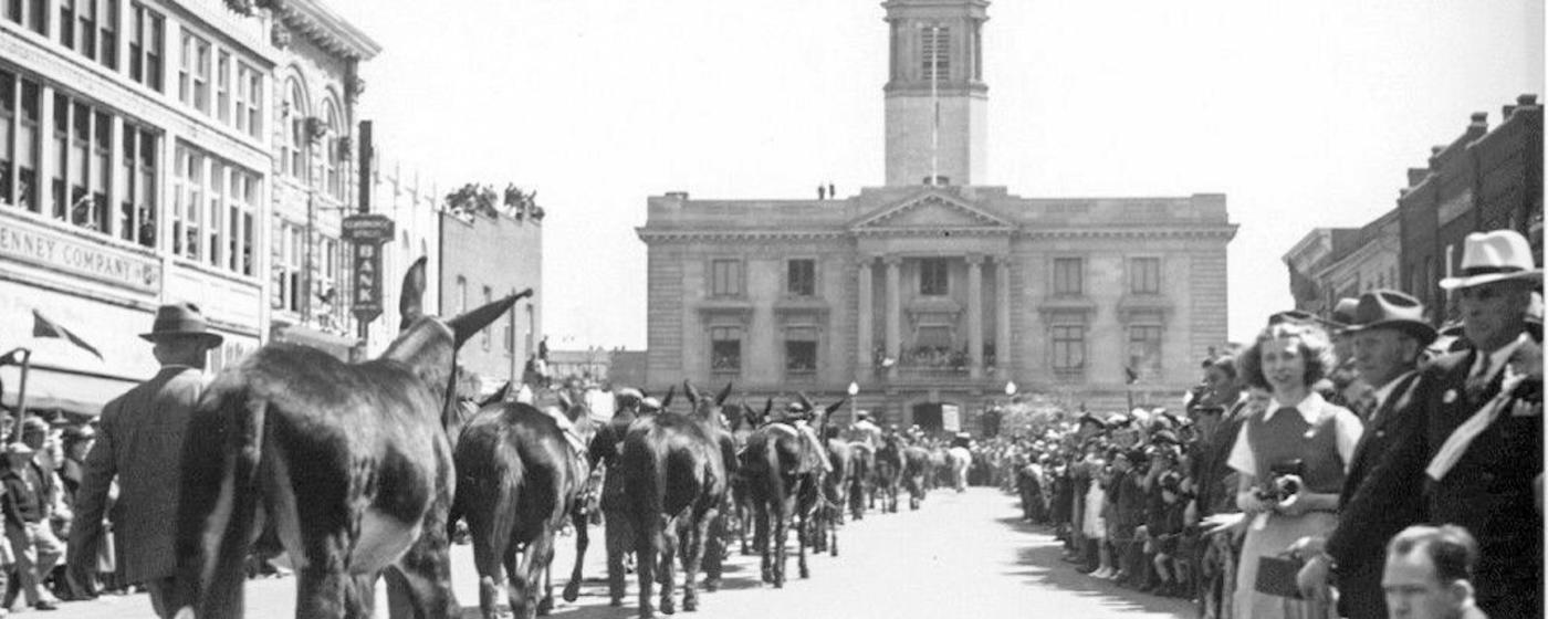 Mule Day Procession to the Square