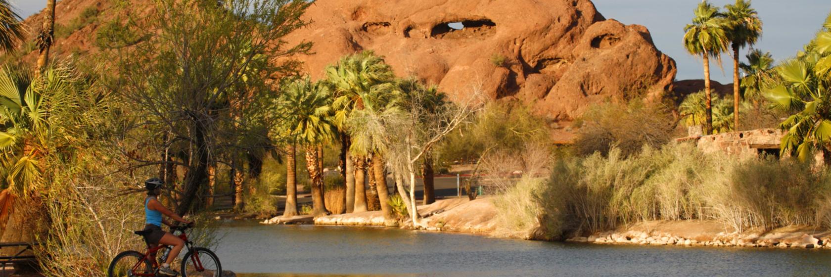 Dog Friendly Parks Patios And Trails In Phoenix Visitphoenix Com