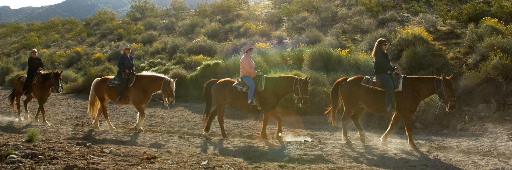 Find The Old West In Phoenix