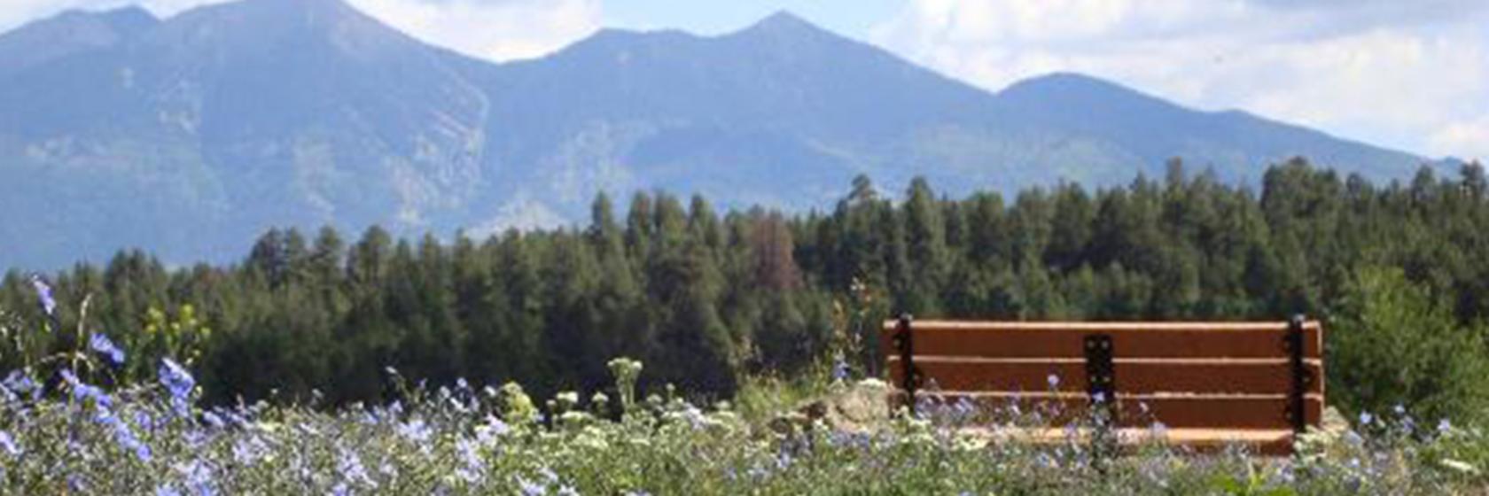 Wallpaper Top 10 Things To Do In Flagstaff The Hot Sheet Blog For iPhone Free