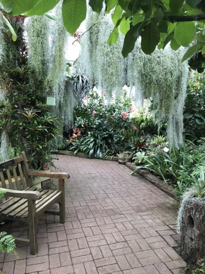 Lamberton Conservatory