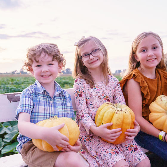 Three children holding pumpkins on a bench at a farm
