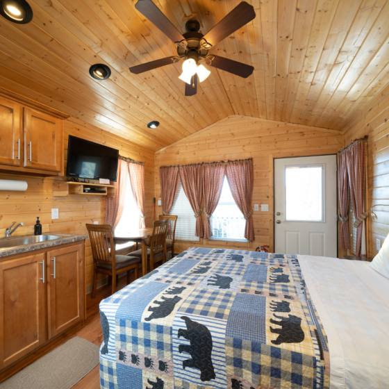 Cabin Interior