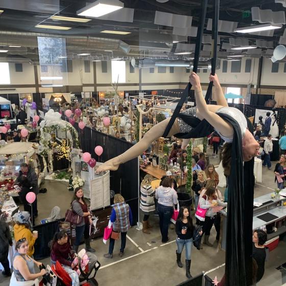 Aerial Silks at Wedding Expo