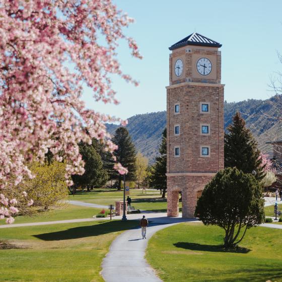 FLC Clocktower in spring