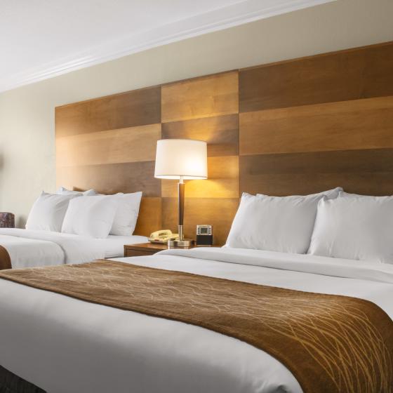 Double Queen Room