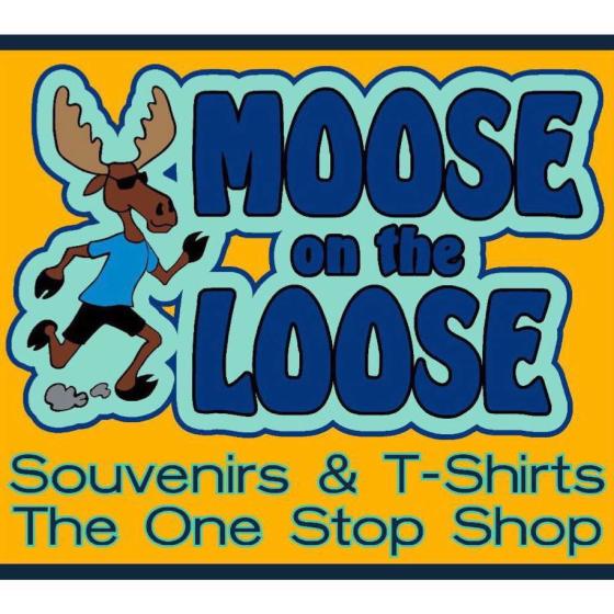 Moose on the Loose