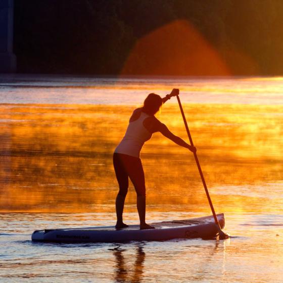 Stand Up Paddle Board (SUP) Rental