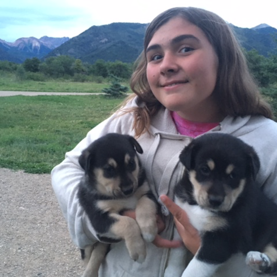lyd and pups