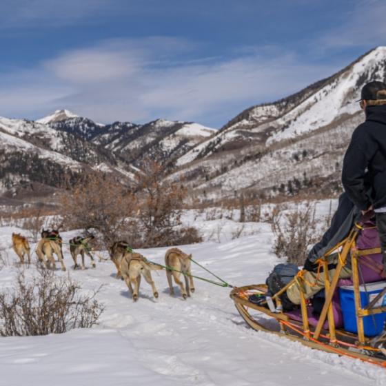 Sledders