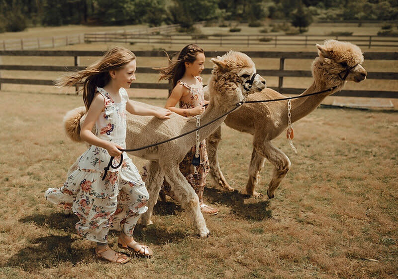 April Vacation Activities on Martha’s Vineyard