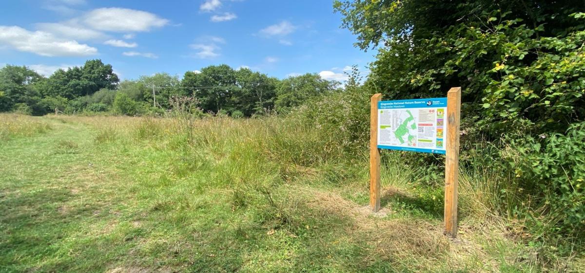 Kingcombe National Nature Reserve