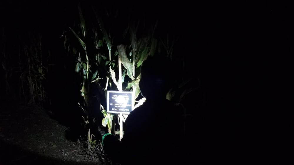 Visitors navigate the Greendell Landscape Solutions Corn Maze by moonlight.