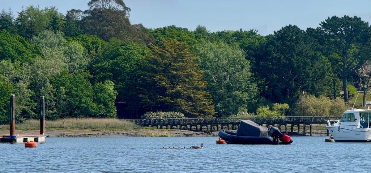Beaulieu river in the spring in the New Forest