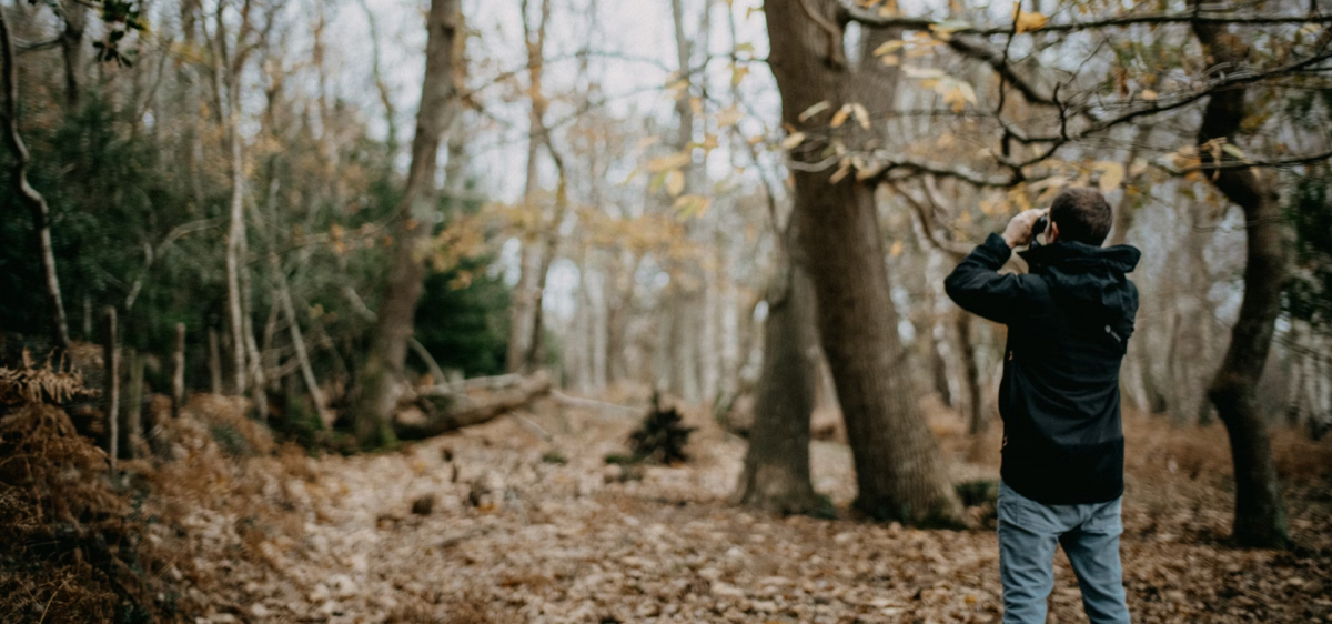 Birdwatching in the New Forest