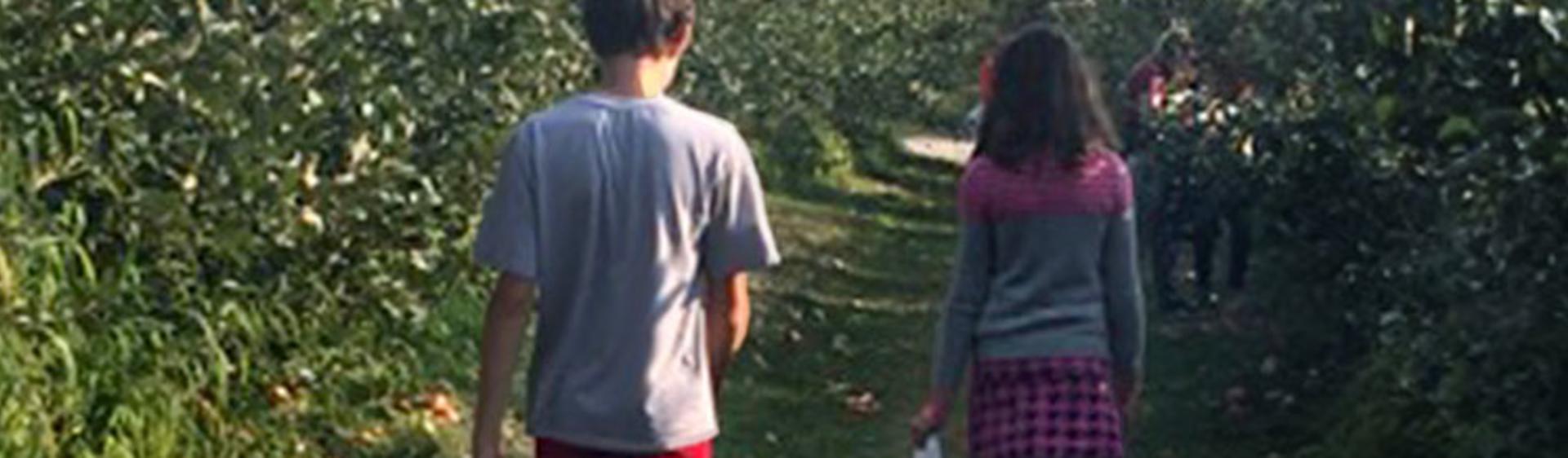 South Shore Orchards & Self Pick Farms | Agricultural Things ...