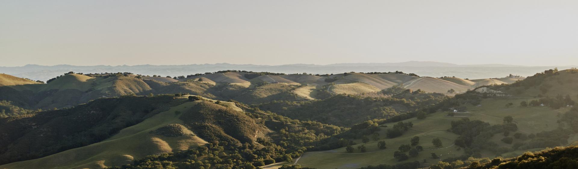 Rolling hills in Paso Robles, California.