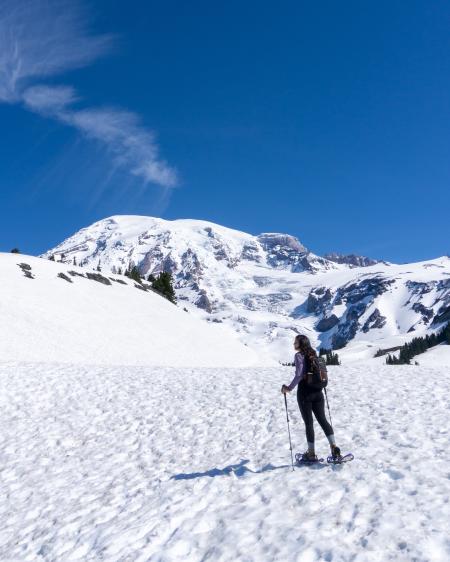 Paradise at Mount Rainier in early Summer