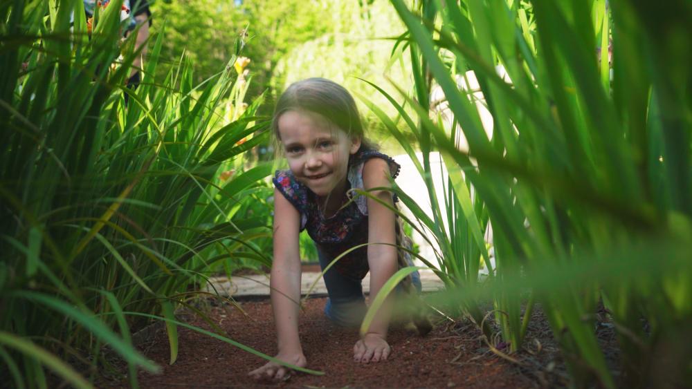 Crawling through State Botanical Garden