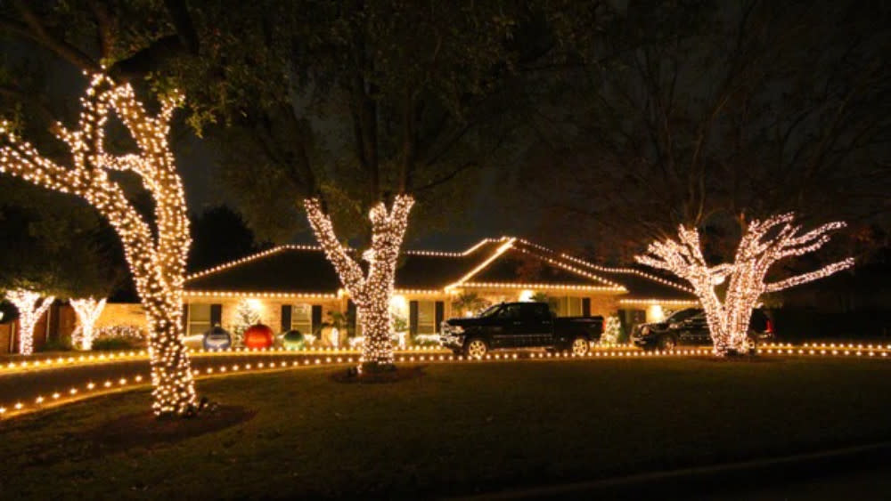 MosquitoNix Christmas Lights