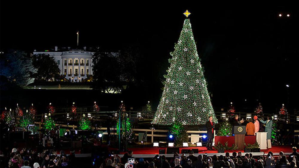 National Christmas Tree - DC Traditions