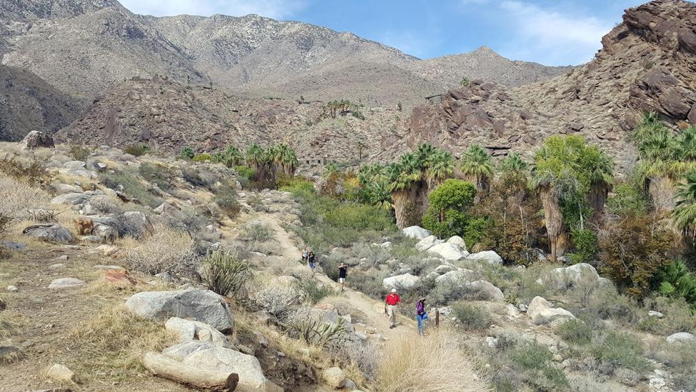 andreas canyon