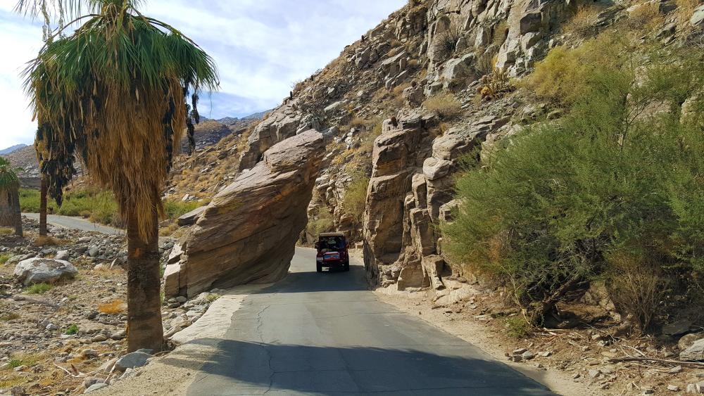 Palm canyon entrance