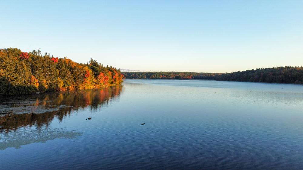 Visit Promised Land State Park in Greentown, PA