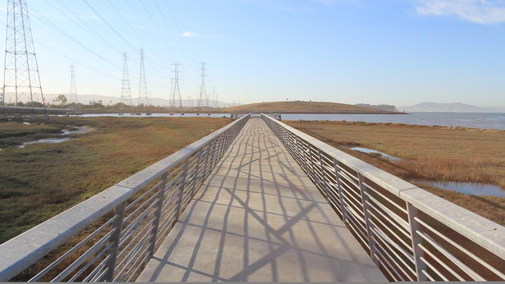 San Francisco Bay Trail 4