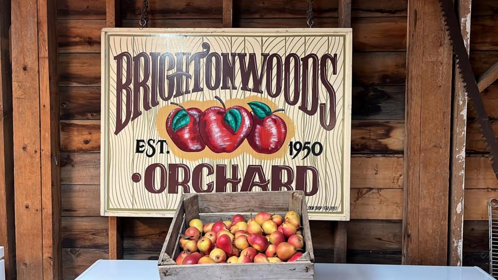 Apples and sign for Brightonwoods Orchard