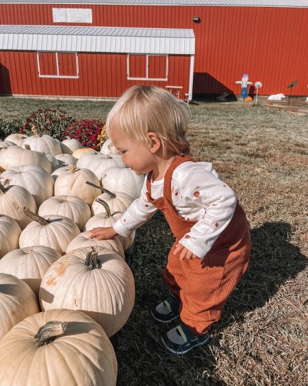 A small child touching a pumpkin at Van Buren Acres.