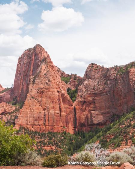 Kolob Canyons Scenic drive