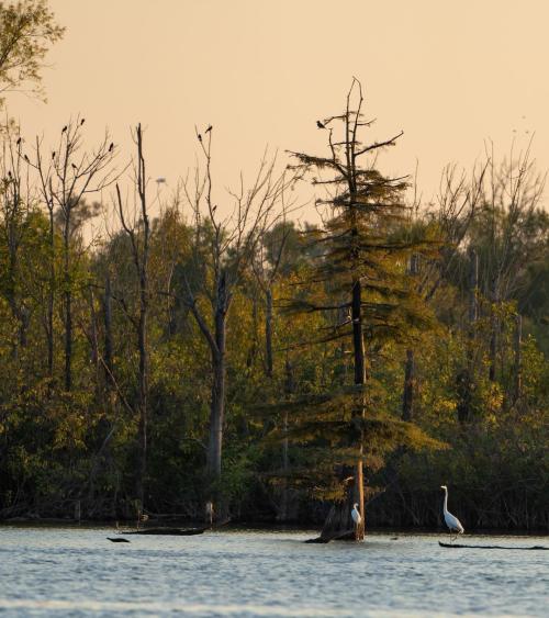 red river national wildlife refuge