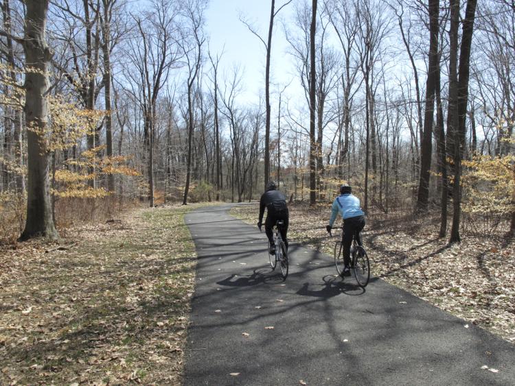 Lawrence Hopewell Trail in Lawrenceville, NJ